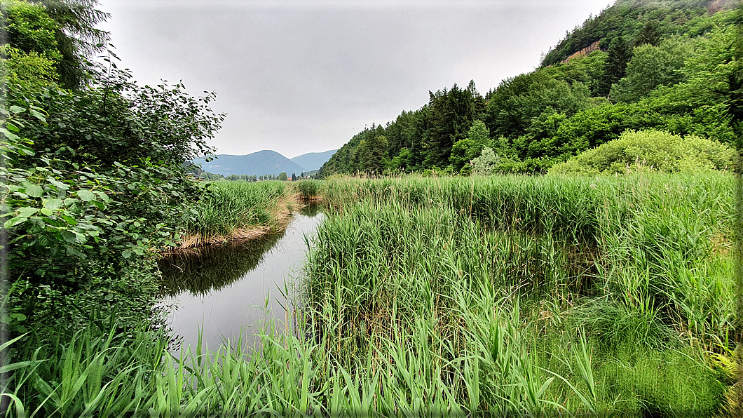 foto Lago di Lases